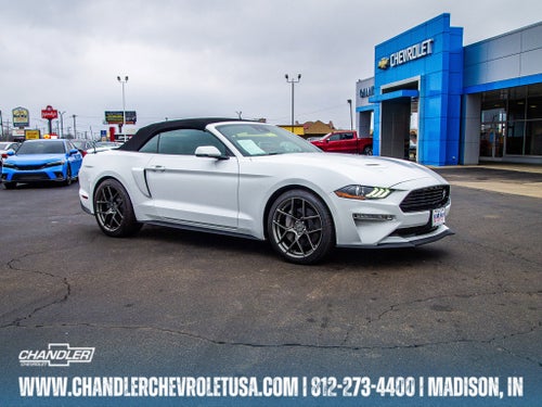 2019 Ford Mustang GT Premium